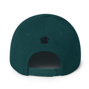 classic-snapback-spruce-back-66cf267f3d997.jpg